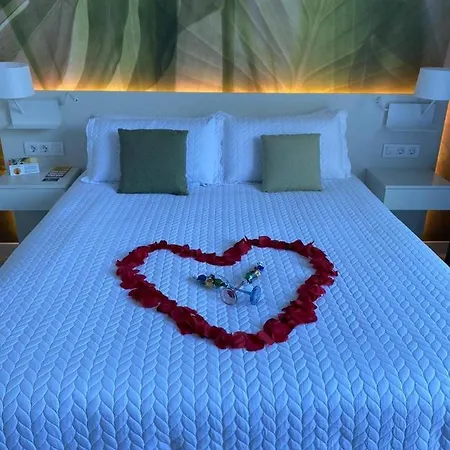 Palm Tree By Villa Soleros Gay Friendly Adult Only *