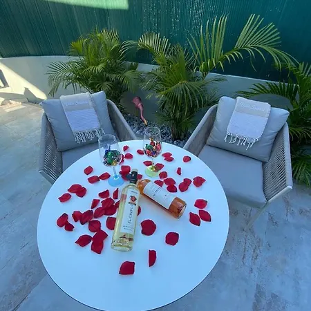 Palm Tree By Villa Soleros Gay Friendly Adult Only