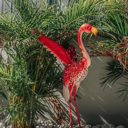 Palm Tree By Villa Soleros Gay Friendly Adult Only Apartment Maspalomas (Gran Canaria)
